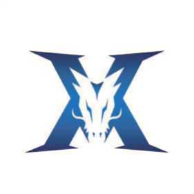 术执行方面 术执行方面