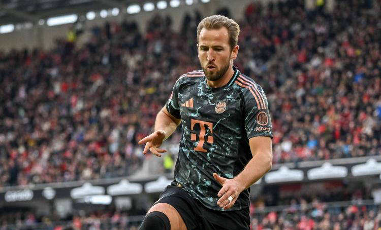 析了联盟动 析了联盟动