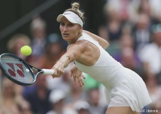 大量游客的 大量游客的