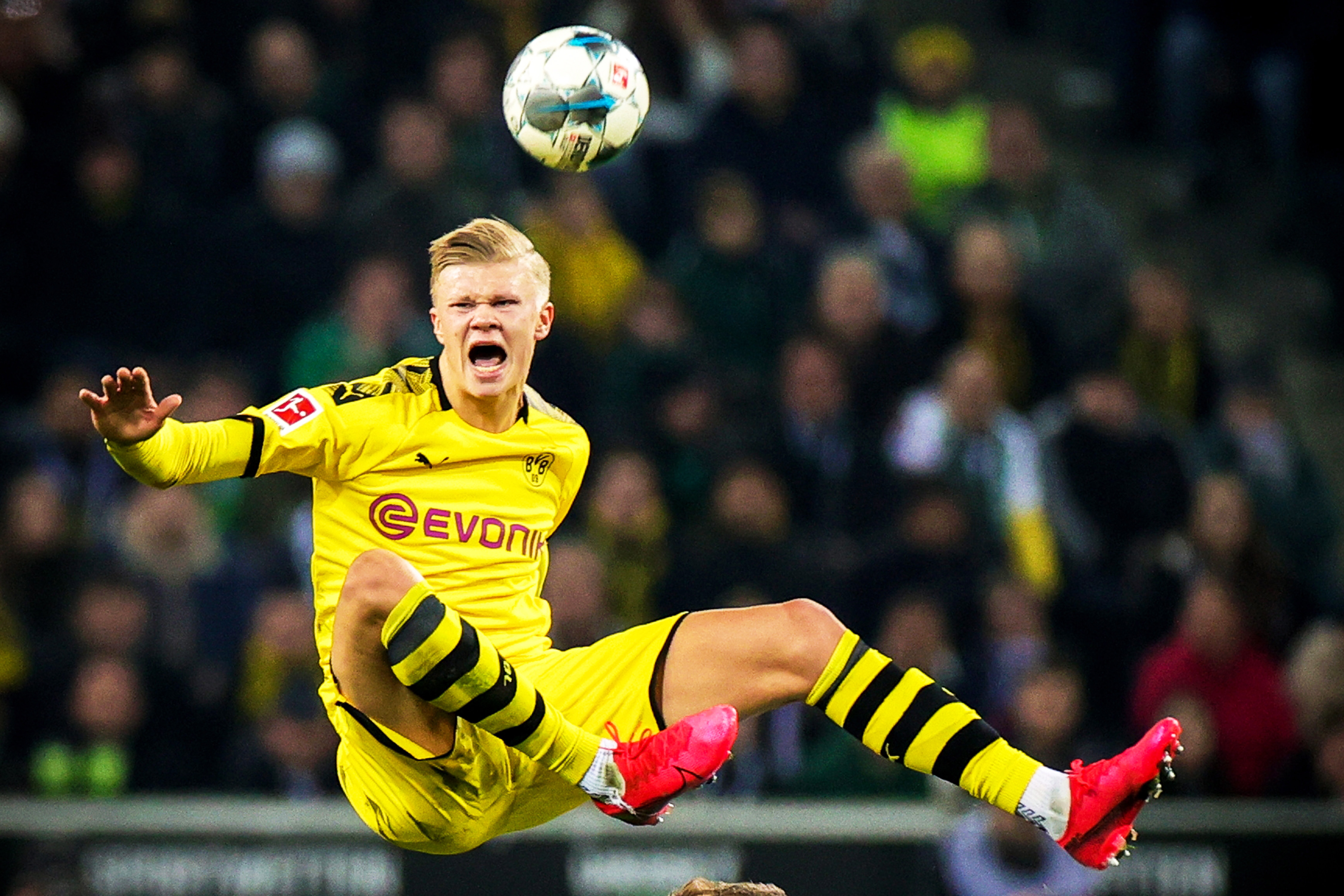 都踩准团队 都踩准团队